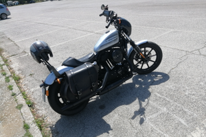 Iron 1200 sportster