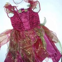 Costume carnevale fata del bosco