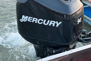 Mercury optimax 90 / 115