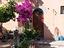Immagine 6