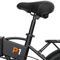 BICICLETTA ELETTRICA P1 ENGWE 250WATT