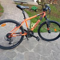 bici MTB bambino 