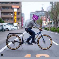 Cargo bike Xtracycle Leap