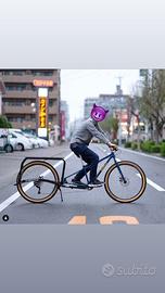 Cargo bike Xtracycle Leap