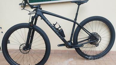 mtb da 29 in carbonio 