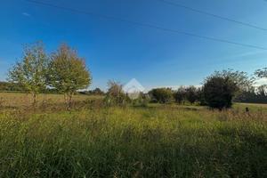 TER. AGRICOLO A BELLUSCO