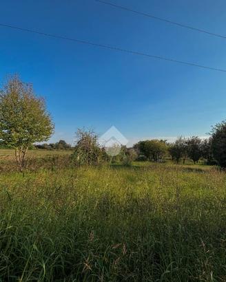 TER. AGRICOLO A BELLUSCO