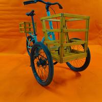 BIANCHI TRICICLETTA / BICICLETTA CARGO SHOPPING