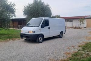 Fiat Ducato passo medio tetto basso