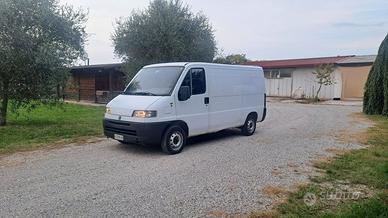 Fiat Ducato passo medio tetto basso