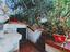 Immagine 26