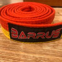 Cinture arti marziali