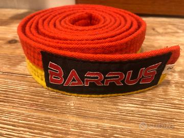 Cinture arti marziali