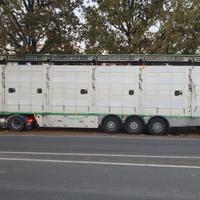 Semirimorchio trasporto bestiame