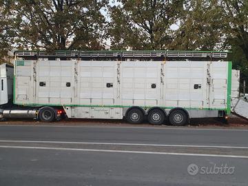 Semirimorchio trasporto bestiame