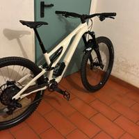 Specialized Stumpjumper EVO Expert AXS Perfetta S3
