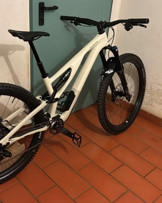 Specialized Stumpjumper EVO Expert AXS Perfetta S3