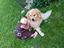 Immagine 4