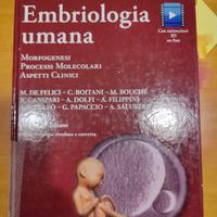 Libro Embriologia Umana PICCIN Seconda Edizione 