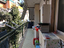 Immagine 6