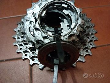 Cassetta campagnolo