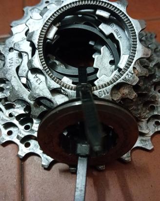 Cassetta campagnolo