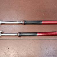 Forcelle regolabili fantic motard 125 casa