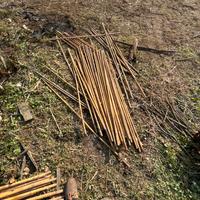 Bastoni bamboo per giardino