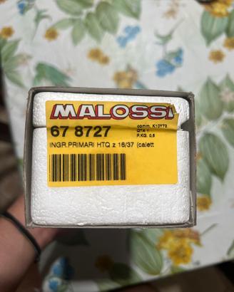 ingranaggi malossi primari 16/37 per piaggio