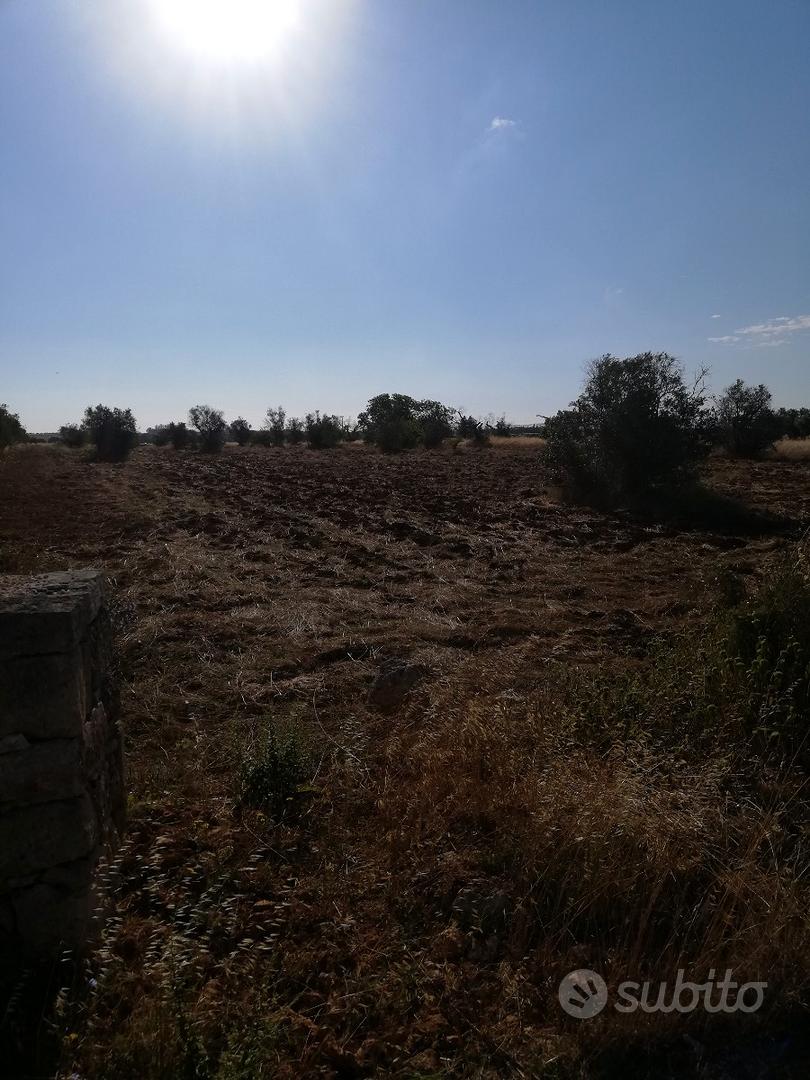 Terreno agricolo - Vista 4