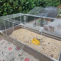 gabbia per cavie e conigli