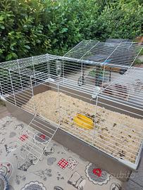 gabbia per cavie e conigli