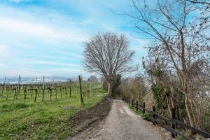 Terreno Residenziale Chiuduno