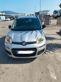 panda con un anno di assicurazione 