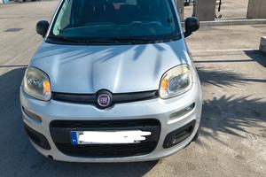 panda con un anno di assicurazione 