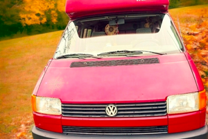 Westfalia California coach t4