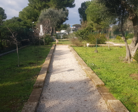 Terreno completo di utenze