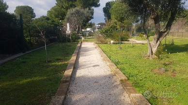 Terreno completo di utenze