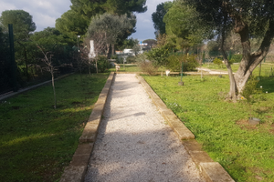 Terreno completo di utenze