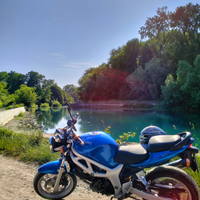 Suzuki Sv 650 Naked