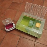 Gabbia per criceto + trasportino