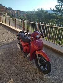 Sacarabeo 50cc