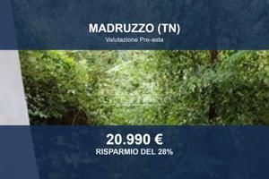 Immobile in asta di 2417 m² a Madruzzo