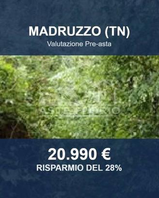 Immobile in asta di 2417 m² a Madruzzo