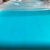 Nastro trasportatore