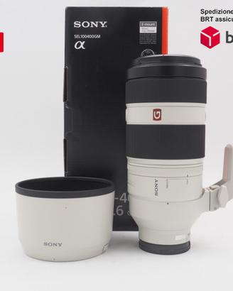 Sony FE 100-400 F4.5-5.6 GM OSS (Sony)