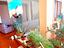 Immagine 20