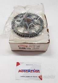 Ingranaggio folle Yamaha XC - XMAX - MAJESTY