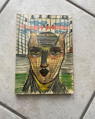 Libro Il sogno proibito