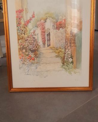 acquarello 70x50 firmati meri marten 